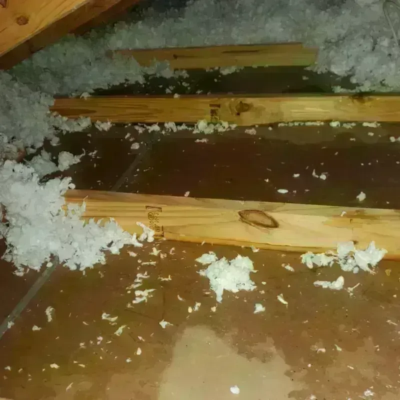 Attic Water Damage in Black River, NY